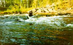 ���� �� '�������' ������