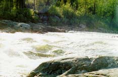 ����� �������� (�.����-�������)