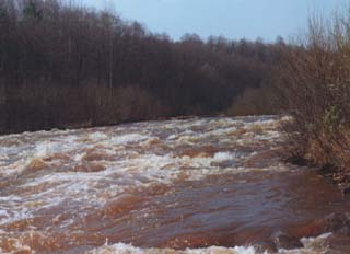 ����� ������ ��������� �������. ��� ��� �� ��� ������� ������ �����