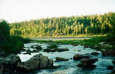 ����� �.�������